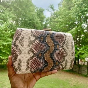 Snake Skin Clutch